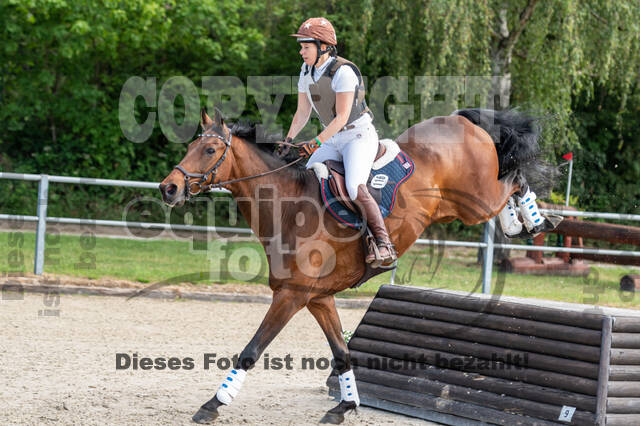 Late-Entry-Vielseitigkeit Langenfeld (11.+13./14.06.2020)