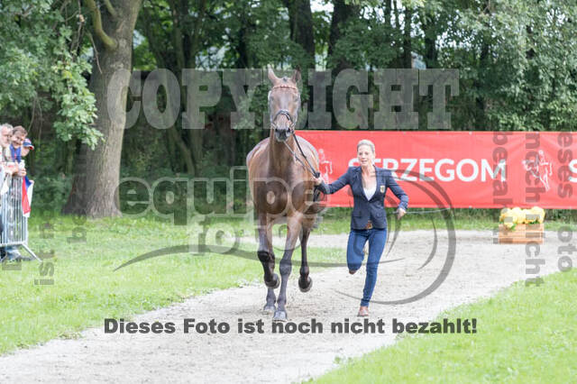 FEI European Championship Eventing 2017