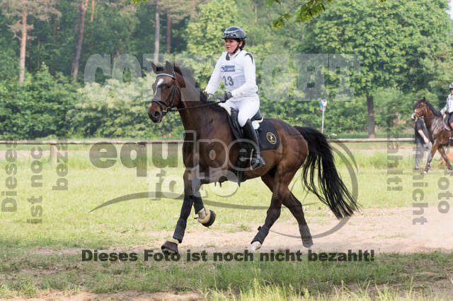 Vielseitigkeitsturnier ZRFV von Lützow Hamminkeln