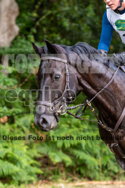 Westerstede Horse Trials 2021