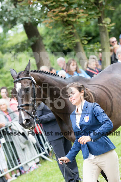 FEI European Championship