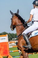 Kronenberg - De Peelbergen (August 2020)