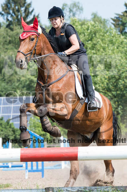 Tholi-Tour Lehrgang Vanessa Bölting