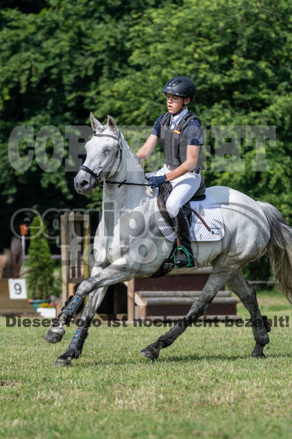 Goldene Schärpe 2021 - Ponys