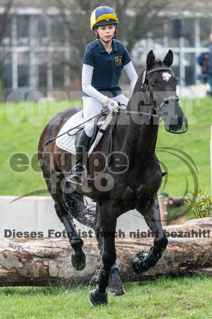 Goldene Schärpe 2020 - Pferde