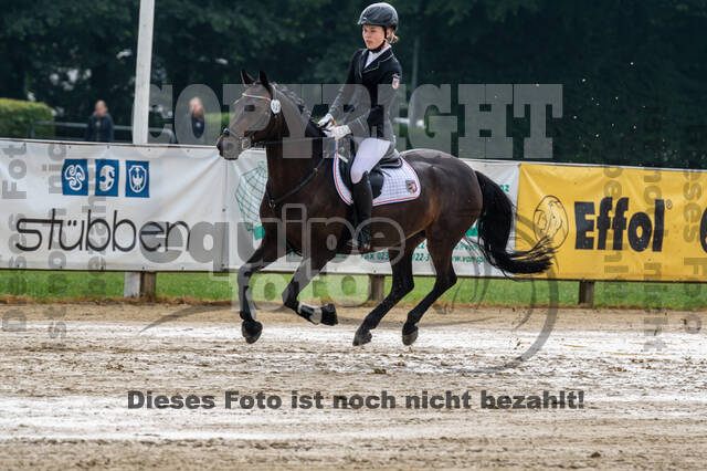 Goldene Schärpe 2021 - Ponys