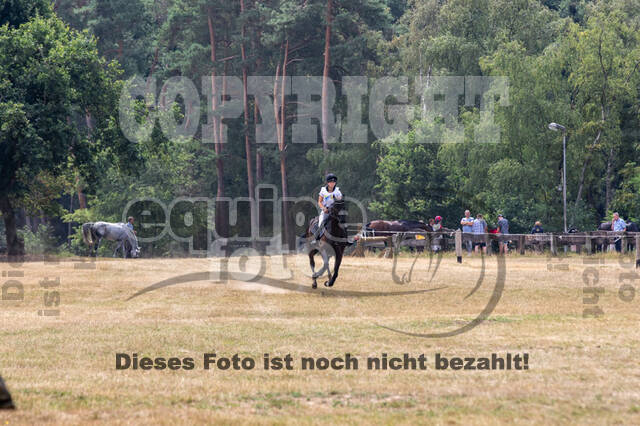 Late-Entry Vielseitigkeit Hamminkeln/Wesel (01.+02.08.2020)
