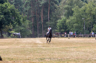 Late-Entry Vielseitigkeit Hamminkeln/Wesel (01.+02.08.2020)