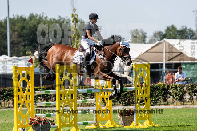 Kronenberg - De Peelbergen (August 2020)