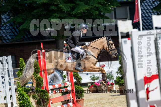 Goldene Schärpe 2021 - Ponys