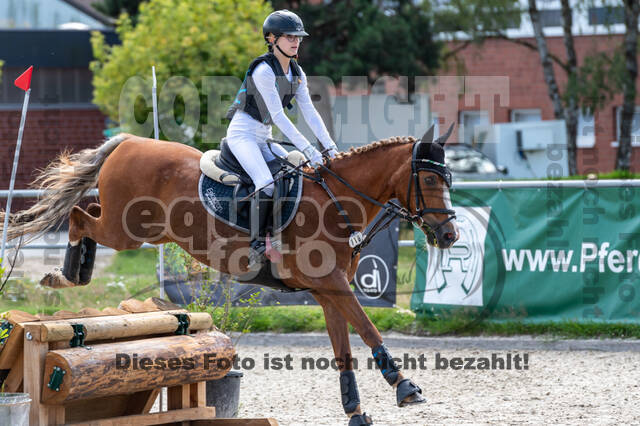 Late-Entry-Vielseitigkeit Langenfeld (06.+07.07.2020)