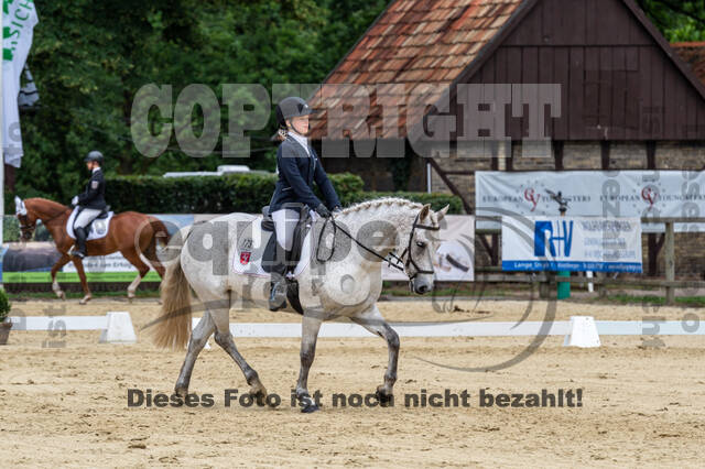 Goldene Schärpe 2021 - Ponys