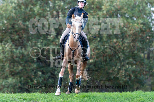 IGV Lehrgang der Sieger der Cups mit Frank Ostholt