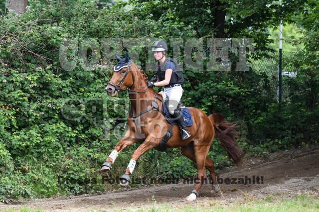 Late-Entry-Vielseitigkeit Langenfeld (11.+13./14.06.2020)