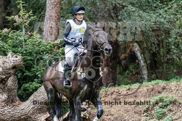 Vielseitigkeit RSV Wesel Obrighoven (26.+27.09.2020)