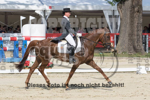 FEI European Championship Eventing 2017