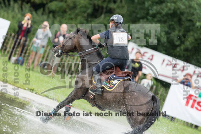 FEI European Championship