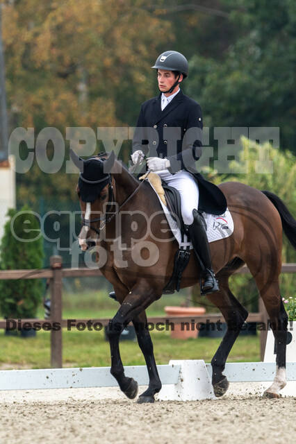 Deutsche Meisterschaft Vielseitigkeit (Luhmühlen)