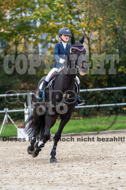 Reiter Schleswig-Holstein