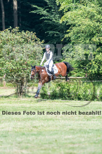 Goldene Schärpe 2021 - Ponys