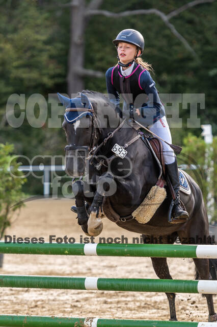 RFV Dinslaken-Hiesfeld (Herbstturnier)
