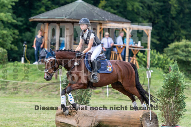 Goldene Schärpe 2021 - Ponys