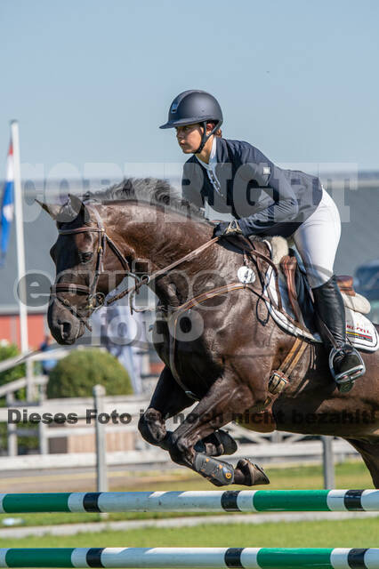 De Peelbergen (August 2020)