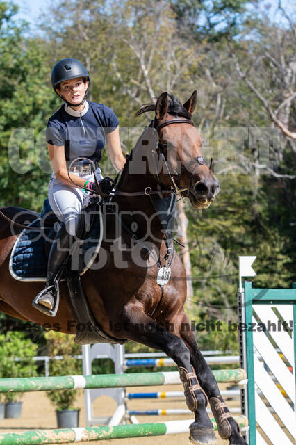 RFV Dinslaken-Hiesfeld (Herbstturnier)