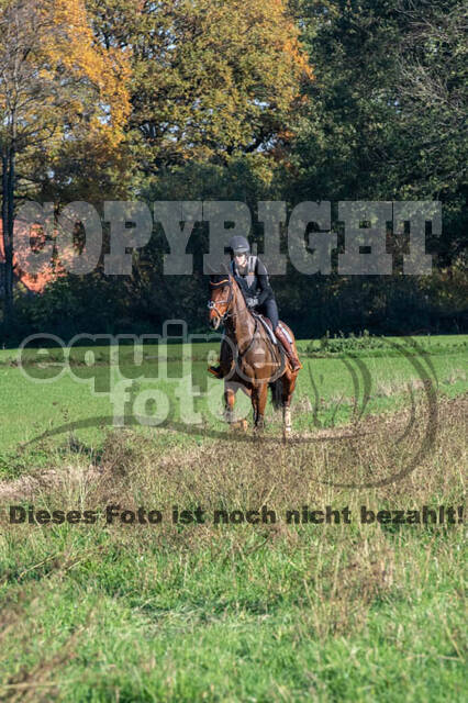 Vielseitigkeitslehrgang mit Jürg Kurbel (9.+10.11.2019)