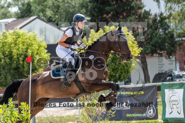 Late-Entry-Vielseitigkeit Langenfeld (06.+07.07.2020)