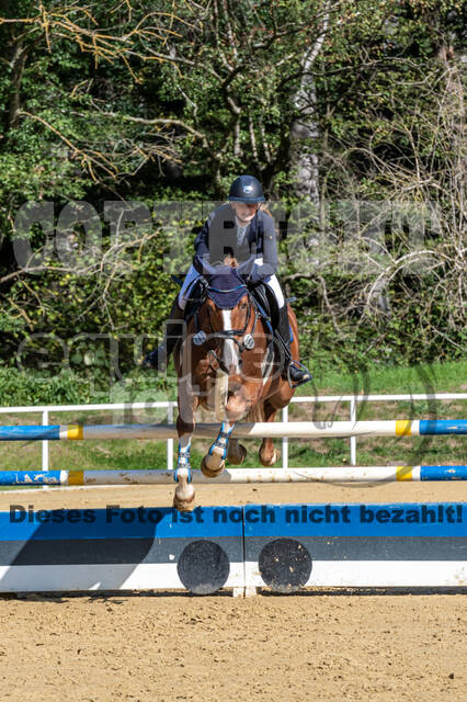 RFV Dinslaken-Hiesfeld (Herbstturnier)