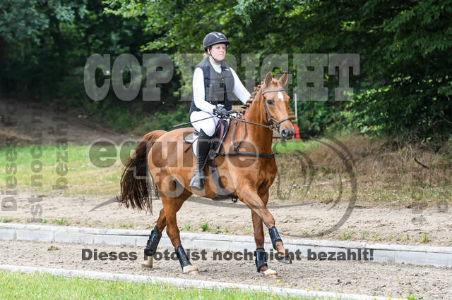 Late-Entry-Vielseitigkeit Langenfeld (11.+13./14.06.2020)