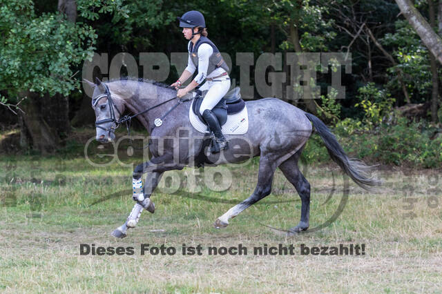 Late-Entry Vielseitigkeit Hamminkeln/Wesel (01.+02.08.2020)