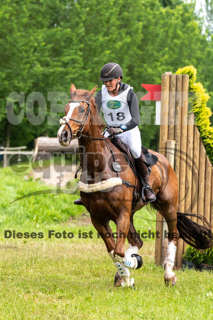 Westerstede Horse Trials 2021