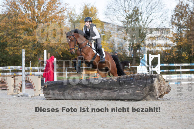 IGV Lehrgang der Sieger der Cups mit Frank Ostholt