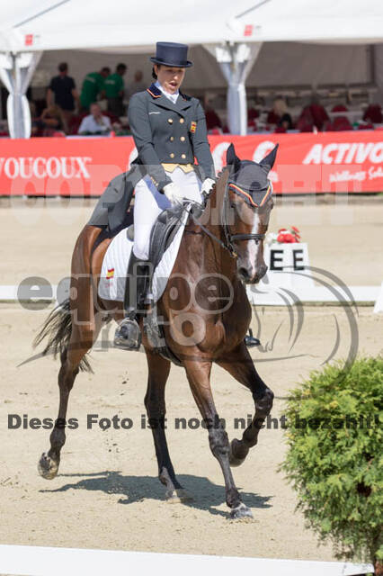 FEI European Championship Eventing 2017