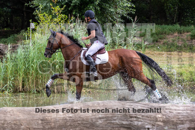 Late-Entry Vielseitigkeit Hamminkeln/Wesel (01.+02.08.2020)