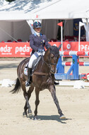FEI European Championship