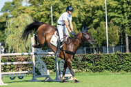 Kronenberg - De Peelbergen (August 2020)