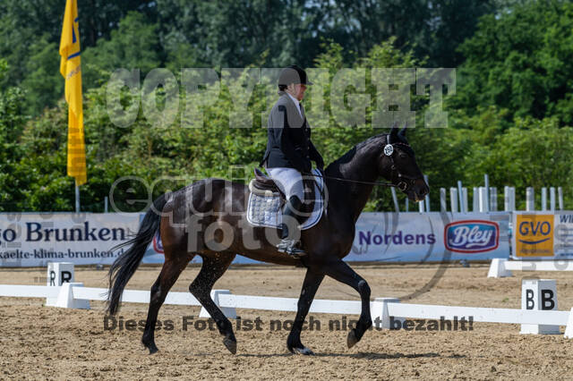 Westerstede Horse Trials 2021