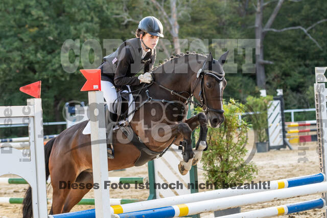 RFV Dinslaken-Hiesfeld (Herbstturnier)
