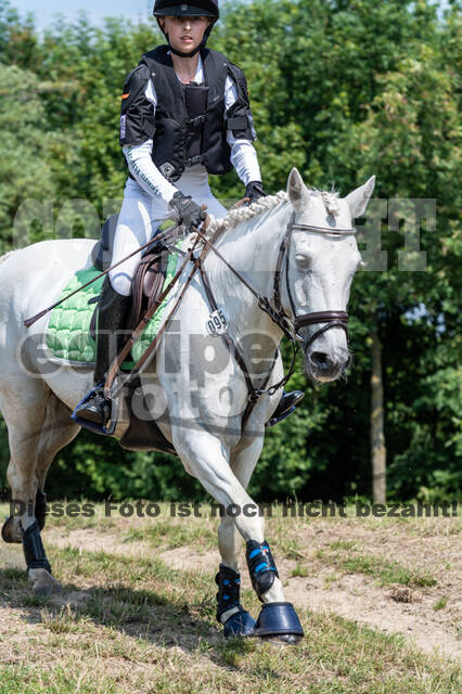 Goldene Schärpe 2021 - Ponys