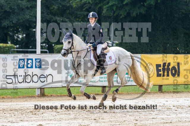 Goldene Schärpe 2021 - Ponys