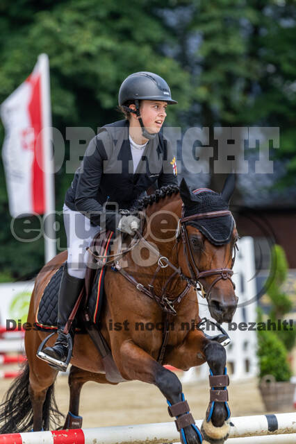 Goldene Schärpe 2021 - Ponys