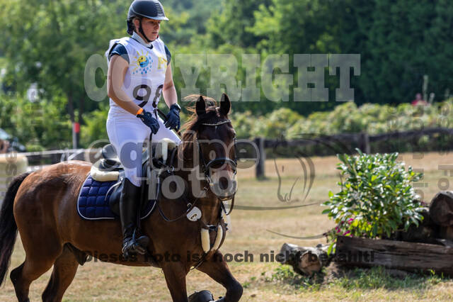 Late-Entry Vielseitigkeit Hamminkeln/Wesel (01.+02.08.2020)