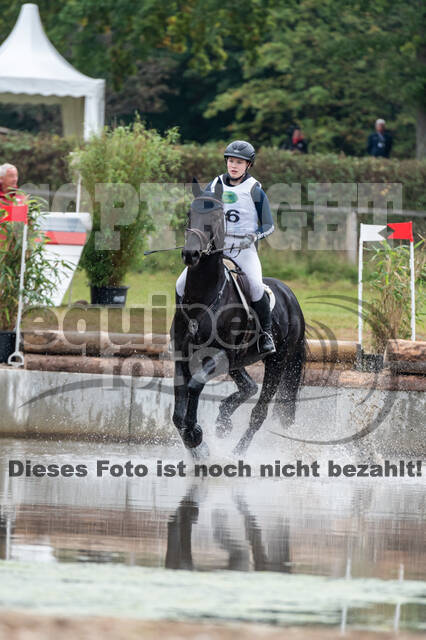 Deutsche Meisterschaft Vielseitigkeit (Luhmühlen)