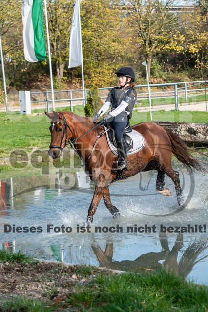 IGV Lehrgang der Sieger der Cups mit Frank Ostholt