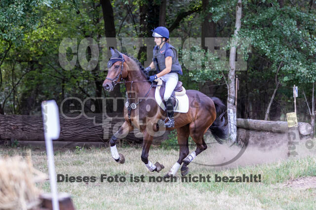 Late-Entry Vielseitigkeit Hamminkeln/Wesel (01.+02.08.2020)