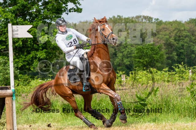 Westerstede Horse Trials 2021