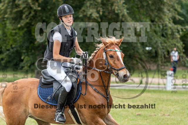 Late-Entry-Vielseitigkeit Langenfeld (11.+13./14.06.2020)